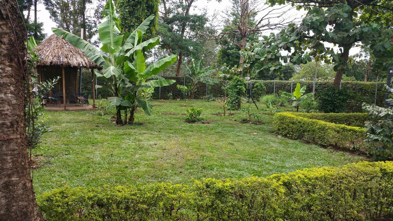 Mama Simba Bed And Breakfast Moshi Exterior foto